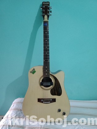 গিভশন জাম্বু রোজ